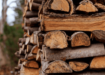 Жителька Лановеччини купила в інтернеті дрова, але товару так і не дочекалась