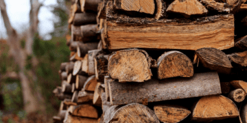 Жителька Лановеччини купила в інтернеті дрова, але товару так і не дочекалась