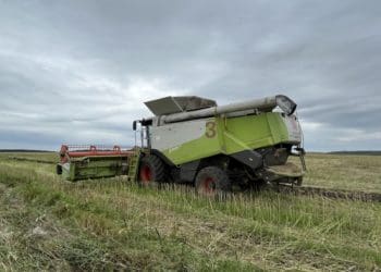 Обмолот ріпаку успішно завершили в Захід-Агро МХП