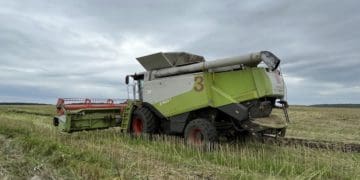 Обмолот ріпаку успішно завершили в Захід-Агро МХП