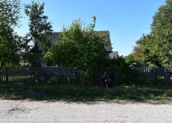 п’яна сварка між братами завершилась різаниною