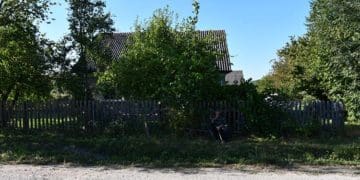 п’яна сварка між братами завершилась різаниною