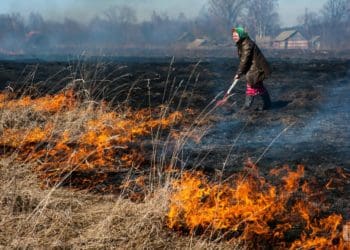 паління трави