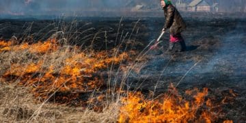 паління трави