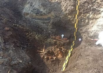 братську могилу часів Другої світової війни почали розкопувати у Тернополі