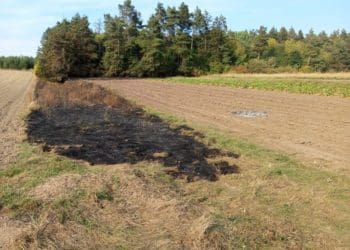 Жителька Борсуківської громади отримала смертельні травми через паління сміття