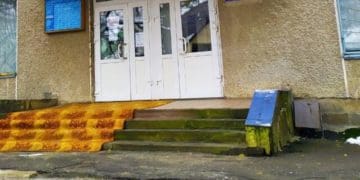 лазня чайка