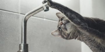 не буде води