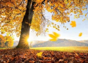 погода осінь