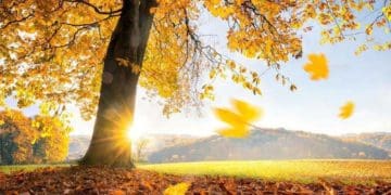 погода осінь