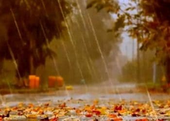 На Тернопільщині прогнозують дощі