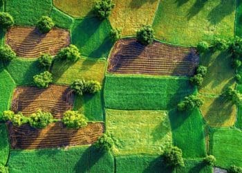 Бучацькій міськраді землі