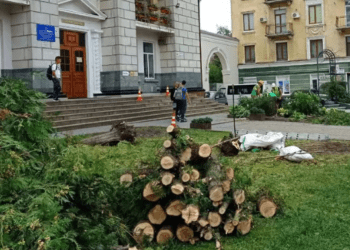 зрізали дерева тернопіль