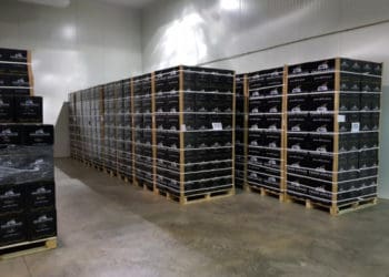 Фермерське господарство з Тернопільщини розпочало експорт яблук