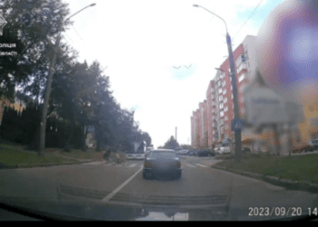 розшукали водія автобуса, який не пропустив пішоходів на Київській