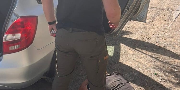 СБУ викрила нові «схеми для ухилянтів»: серед затриманих – очільники військкомату та філії університету