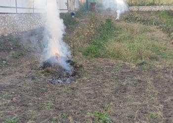 У Тернопільській громаді штрафують паліїв