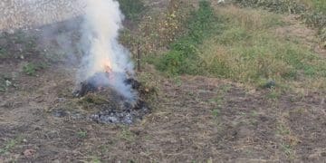 У Тернопільській громаді штрафують паліїв