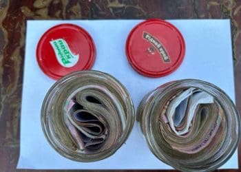 закопала скарб на городі і забула де саме