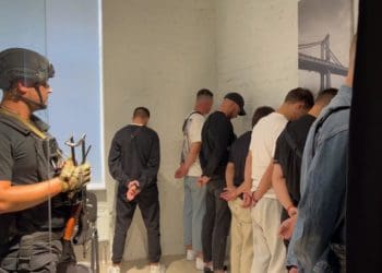 Ошукували громадян ЄС: Нацполіція спільно з чеськими правоохоронцями затримала учасників злочинної організації