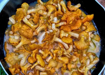 Як варити гриби, щоб вони не потемніли та зберегли свій природний колір