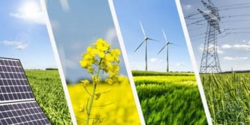 Зелена енергетика дозволяє бути незалежними й заробляти гроші