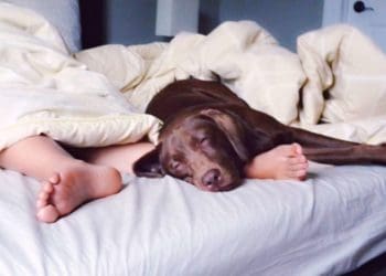 У неділю жителі Тернопільщини спатимуть на годину довше