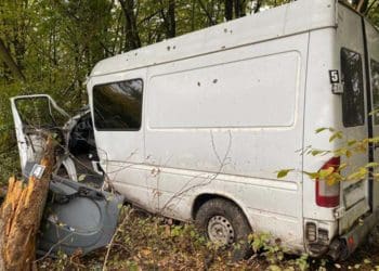 Водійка не впоралась і керуванням і врізалась у дерево у Бучацькій громаді