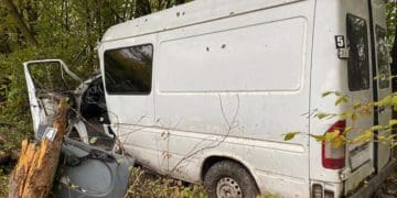 Водійка не впоралась і керуванням і врізалась у дерево у Бучацькій громаді