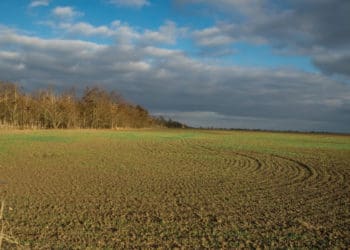 Понад гектар землі забрали у громадянина РФ