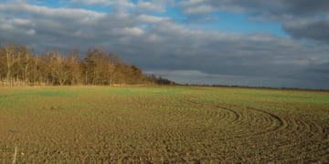 Понад гектар землі забрали у громадянина РФ