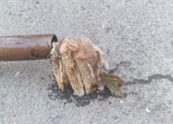 У Тернополі через недобросовісних мешканців затопило банк