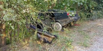 водій не порався із керуванням і заїхав у дерево