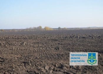 Майже три гектари землі конфіскували у росіянки на Тернопільщині