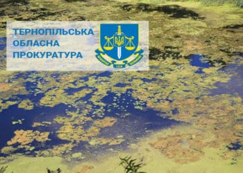 забруднення річки Іква