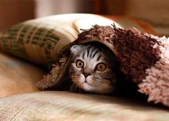 у Тернополі знову подають тепло