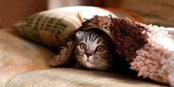 у Тернополі знову подають тепло