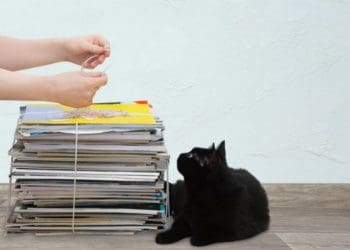 Здати макулатуру