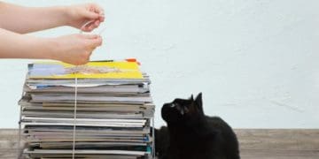 Здати макулатуру