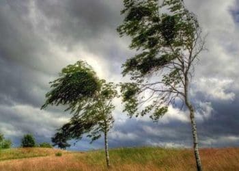 сильний вітер на Тернопільщині