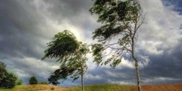 сильний вітер на Тернопільщині