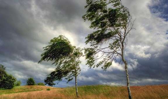 Шквальний вітер залишає Тернопільщину без світла: аварійні відключення у кількох громадах