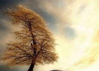 Десятки населених пунктів без електрики на Тернопільщині