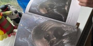 Шевченкові думи озвуться в образах картин відомого художника з Тернопільщини