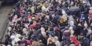 Вони не збираються виграти війну