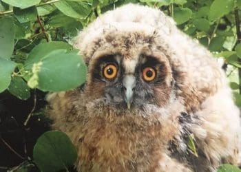 13 юних переможців обласного етапу братимуть участь у Всеукраїнському фотоконкурсі