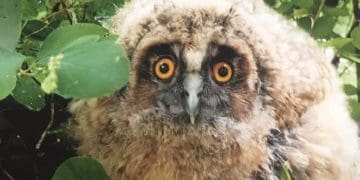 13 юних переможців обласного етапу братимуть участь у Всеукраїнському фотоконкурсі