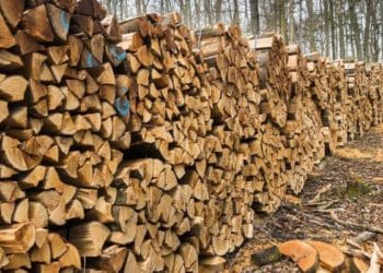 Жителі Тернопільщини продовжують втрачати гроші, купуючи дрова