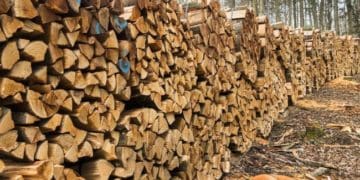 Жителі Тернопільщини продовжують втрачати гроші, купуючи дрова