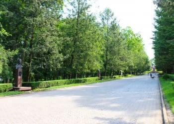 У Тернополі перепоховають рештки радянських воїнів зі Старого парку